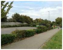 Retail parks landscaping managed and  maintained by Marcus Young Landscapes Ltd