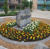 Flower bed for commercial premises open space installed and maintained by Marcus Young Landscapes Ltd